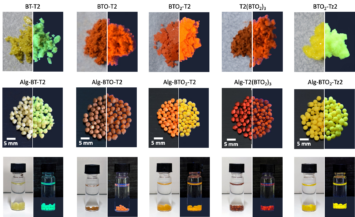 Innovative Alginate–Oligothiophene Aerogels for Water Purification