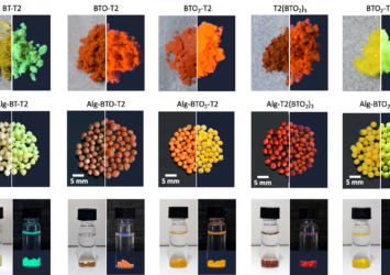 Innovative Alginate–Oligothiophene Aerogels for Water Purification