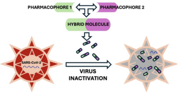 Molecules team together to fight COVID virus