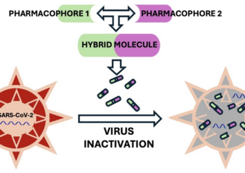 Molecules team together to fight COVID virus